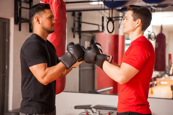 Homens batendo suas luvas de boxe — Fotografia de Stock