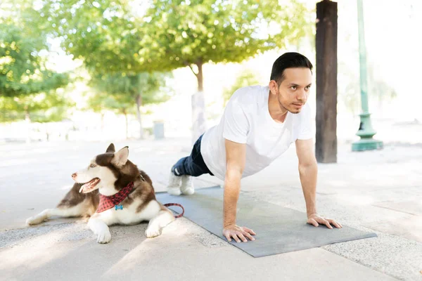 公園で彼のかわいい犬の横にある板をやっています — ストック写真