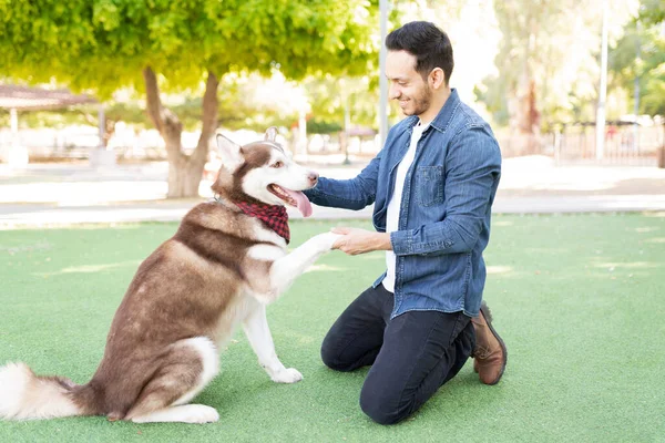 公園の緑の芝生でひざまずいて彼の犬の所有者に彼の足を提供する幸せなかわいい犬 — ストック写真