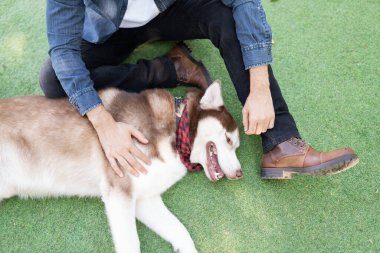 Parktaki yeşil çimlerde sahibinin ayaklarının dibinde dinlenen yorgun, güzel bir köpek.