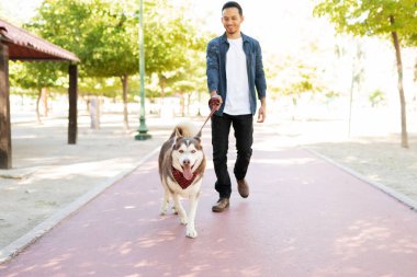 Full length of a happy furry dog with a leash walking with his male dog owner in the park running track clipart