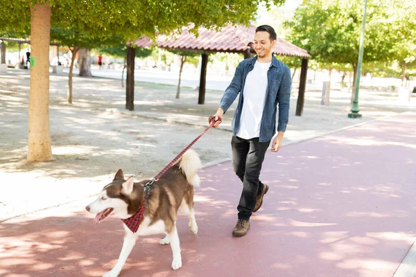 Zijaanzicht Van Een Gelukkige Mooie Hond Met Een Riem Lopend — Stockfoto