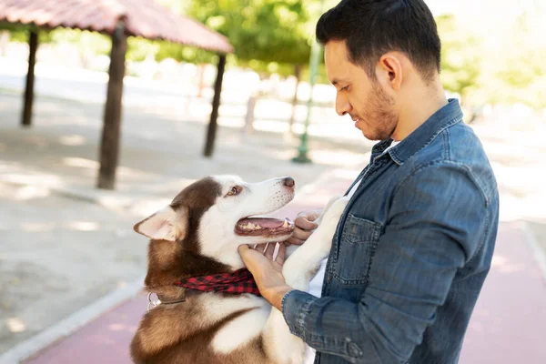 Aantrekkelijke Volwassene Kijkend Naar Zijn Gelukkige Husky Hond Van Aangezicht — Stockfoto