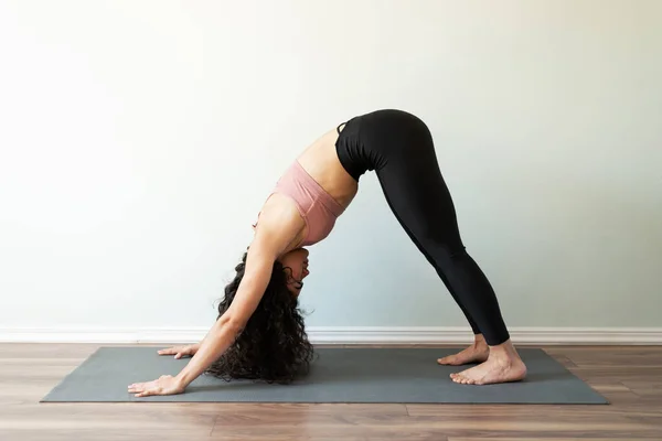 Hezký Looking Latin Young Woman Doing Downward Facing Dog Yoga — Stock fotografie