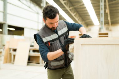 30 'larında yakışıklı bir erkek işçi büyük bir marangozhanede çalışıyor. Üzerinde iş yeleği olan Latin bir adam ahşap bir dolabı süngerle boyuyor.