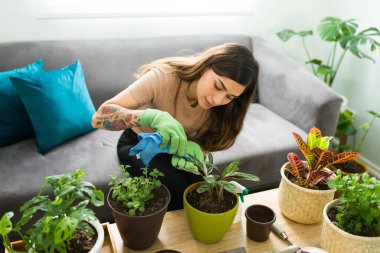 Rahatlamış genç bir kadın pozitif bir ruh sağlığı için bahçe işleriyle uğraşıyor. Güzel bir kadın sağlık rutininin bir parçası olarak bitkilerle ilgileniyor.