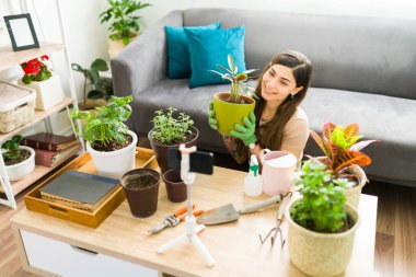 İnternette bahçıvanlık teknikleri hakkında konuşan yakışıklı bir kadın. Oturma odasında otururken telefondaki video kaydı sırasında.