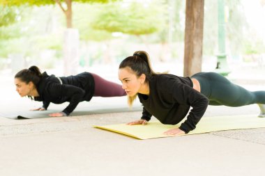 Alımlı odaklı bir kadın parkta egzersiz partnerinin yanında bir egzersiz minderinde kalas yapıyor. En iyi arkadaşlar dışarıda birlikte çalışmalı.