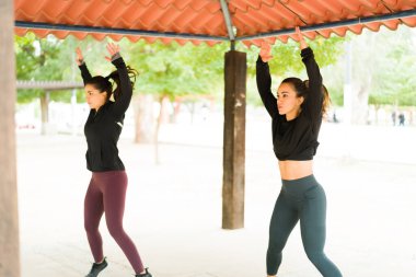 Spor elbiseli kadınlar parkta kardiyo antrenmanı yapıyorlar. En iyi arkadaşlar dışarıda egzersiz yapıyor ve zıplama egzersizleri yapıyor.