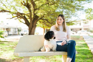 Parkta şirin shih tzu köpeğiyle oturan mutlu beyaz kadın. Gülümseyen köpek sahibi dışarıda dinlenirken hayvanını okşuyor.