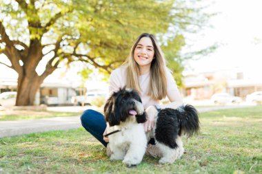 Parkta Shih Tzu köpeğini okşarken gülümseyen mutlu çekici kadın. Neşeli köpek sahibi dışarıda eğleniyor ve küçük köpeğiyle oynuyor.