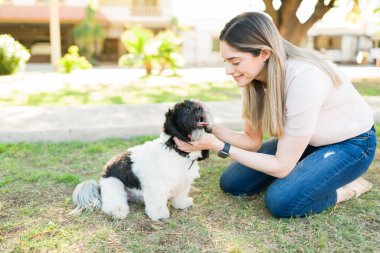 Parkta küçük köpeğini okşayan ve okşayan mutlu beyaz bir kadının yan görüntüsü. Çekici köpek sahibi Shih Tzu evcil hayvanıyla dışarıda oynuyor.