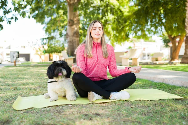 Donna Calma Rilassata Che Yoga Parco Con Suo Simpatico Cagnolino — Foto Stock