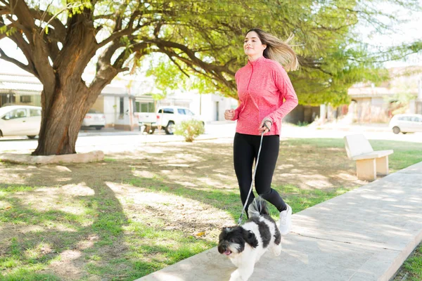 Mulher Bonita Ativa Activewear Correndo Parque Com Seu Cão Pequeno — Fotografia de Stock