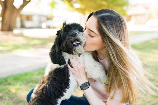 Красивая Белая Женщина Целует Свою Собаку После Игры Парке Привлекательная — стоковое фото