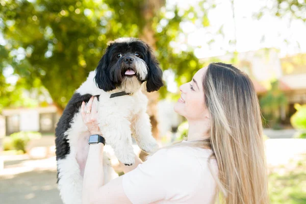 Mulher Feliz Boa Aparência Sorrindo Levantar Seu Cão Pequeno Bonito — Fotografia de Stock