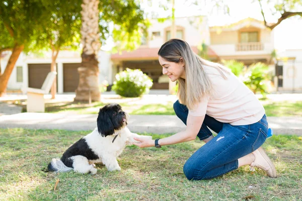 Mulher Bonita Seus Anos Ensinando Seu Cachorro Pequeno Alguns Truques — Fotografia de Stock