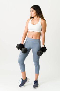 Genç bayan sporcu iki dambıl ağırlığıyla antrenman yapmaya hazırlanıyor. Aktif giyinen beyaz kadın egzersiz yapıyor.
