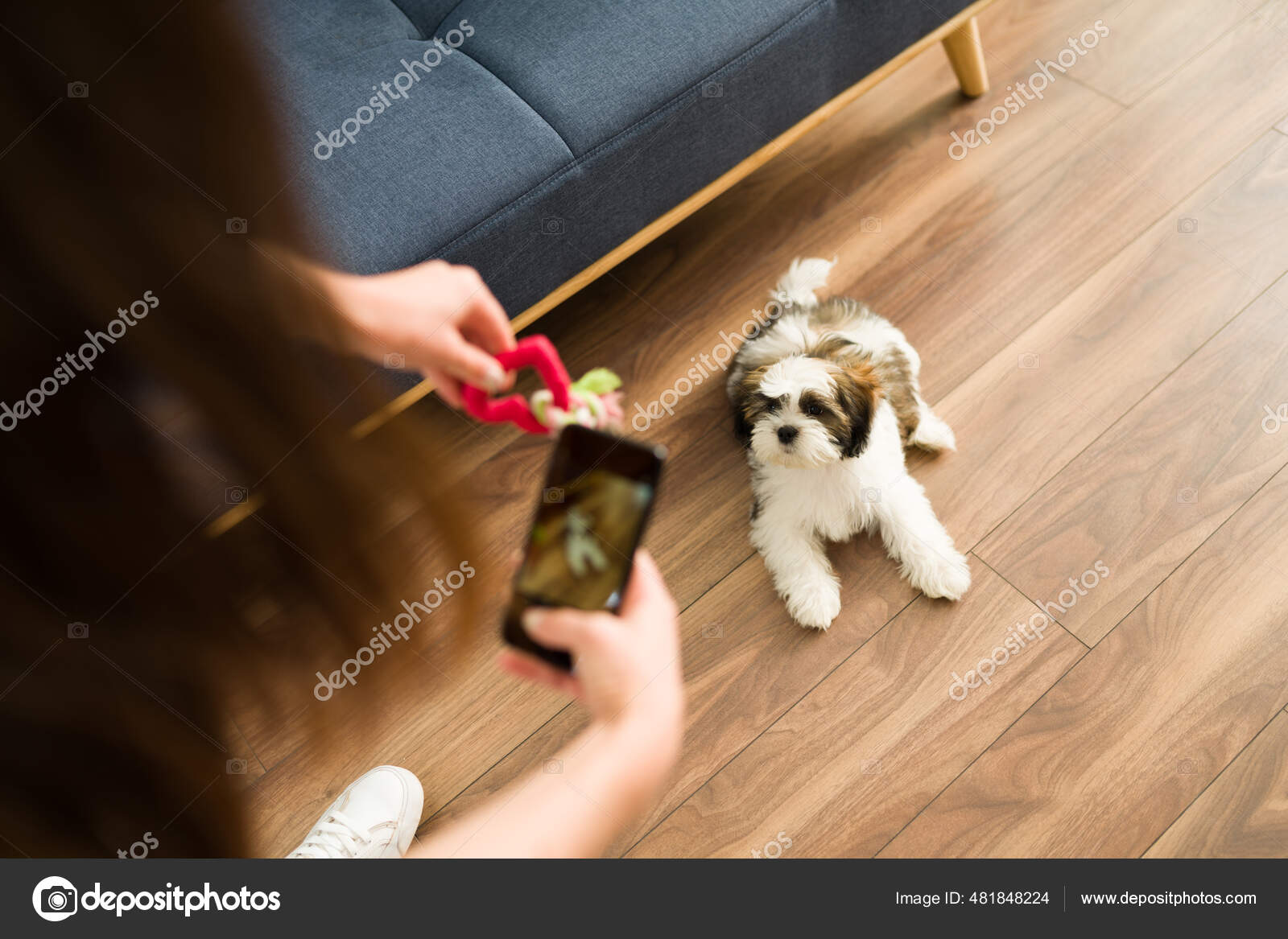 The Adorable and Cute Shih Tzu Puppy with Chew Toy