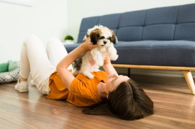 Heyecanlı güzel bir kadınla oynayan çok enerjik şirin bir köpek yavrusu. Küçük sevimli köpeğiyle oturma odasında yerde yatan mutlu genç kadın. 