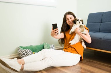 Yeni bir köpek yavrusu aldım! Heyecanlı beyaz kadın, güzel shih tzu köpeğiyle fotoğrafı sosyal medyasında yayınlamak için selfie çekiyor.