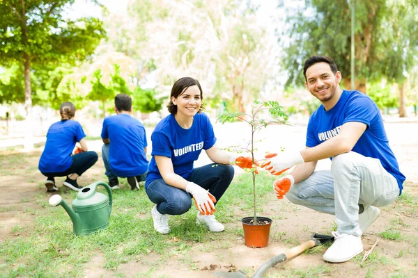环境友好型社区工作 快乐的拉丁裔朋友们在公园里种了一棵小树来做义工 — 图库照片