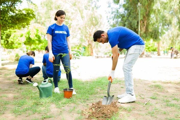 Tânăr Responsabil Săpa Gaură Pentru Planta Copac Parc Prieteni Fericiti — Fotografie, imagine de stoc