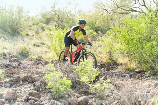 Schweißgebadet Beim Radfahren Konzentrierter Junger Athlet Auf Dem Mountainbike Und — Stockfoto