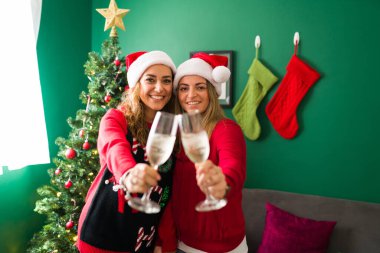 Kadeh kaldırıyorum. Evdeki bir Noel partisinde gülümseyen ve neşeli hisseden güzel eşcinsel kadınların portresi.