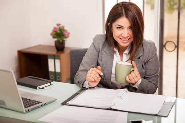 Mujer de negocios trabajando —  Fotos de Stock