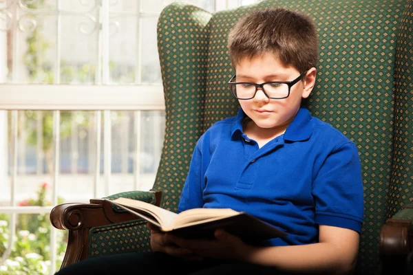 Niño leyendo su libro favorito —  Fotos de Stock