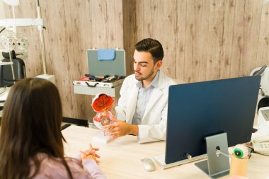 Genç bir bayana detaylı bir göz modelini sunan göz doktoru, randevu sırasında tıbbi ekipmanlarla birlikte insan görme sağlığını tartışıyor.