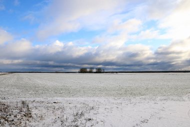 Açık bir günde bir kış tarlası manzarası