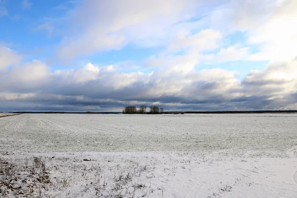 Blick Auf Ein Winterfeld Einem Klaren Tag — Stockfoto