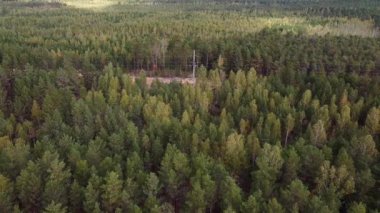 Yoğun bir sonbahar ormanında yüksek voltajlı destekle uçan bir dron..