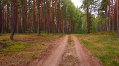 Hava aracı bulutlu bir sonbahar gününde orman yolunda uçuyor..