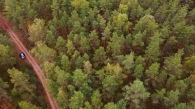 Drone rüzgarlı bir sonbahar gününde orman yolunda uçar..