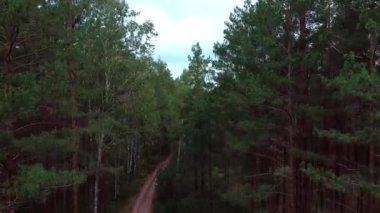 İnsansız hava aracı ormana düştü..