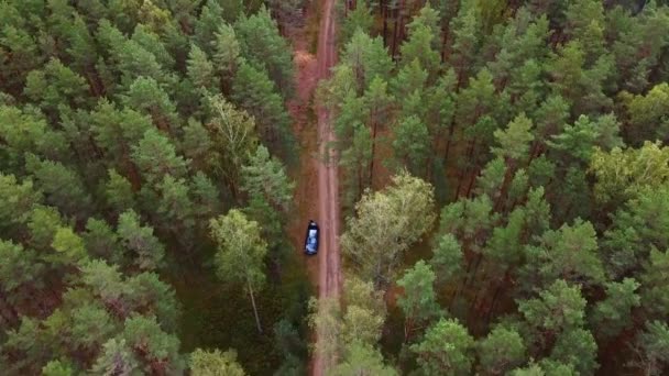 空中摄影覆盖了秋天的松树林和道路 — 图库视频影像