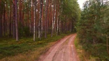 İnsansız hava aracını orman yolunda uçurmak.