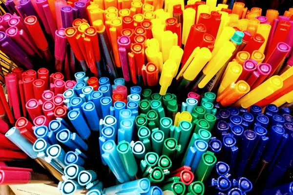 폴란드 크라코프 2019 Color Pencils Shelf Shells Office Supply 편지지를 — 스톡 사진