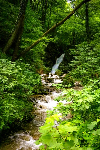 Veduta Del Fiume Montagna Che Scorre Lungo Foresta Strada — Foto Stock