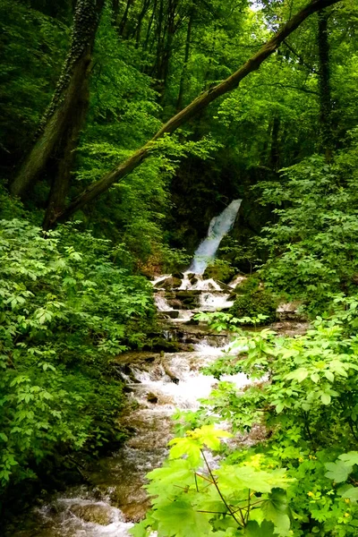 森と道路 ソフトフォーカス フォーカスの欠如に沿って流れる山の川の眺め — ストック写真