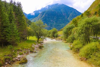 Slovenya 'daki Triglav ulusal parkında Kranjska gorası yakınlarındaki Krnica vadisinde renkli Krnica nehri