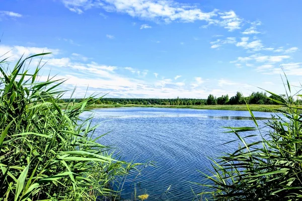 Вид Живописное Озеро Красивым Небом Ясный Летний День — стоковое фото