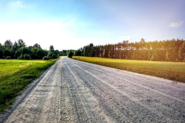 Güneşli bir günde tarla ve orman boyunca köy yolu