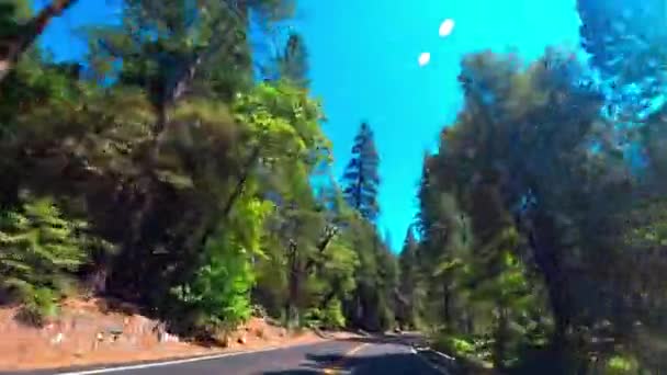 Rijden Naar Yosemite National Park California Verenigde Staten — Stockvideo