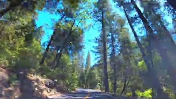 Colpo Strada Tortuosa Parco Nazionale Yosemite — Video Stock