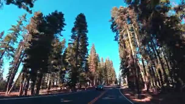 Vista Del Parco Yosemite Dal Sedile Del Conducente — Video Stock