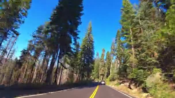 ヨセミテパークの美しい景色の良い道路 カリフォルニア州 アメリカ — ストック動画